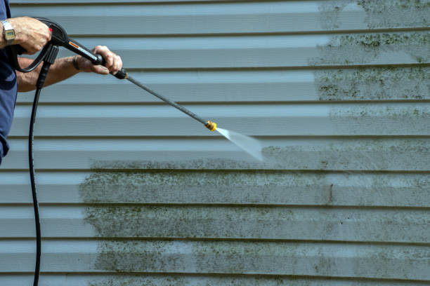 Best Soft Washing for Delicate Surfaces in Edwardsvle, IL